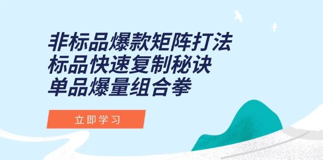 (6.14)非标品爆款矩阵打法，标品快速复制秘诀，单品爆量组合拳